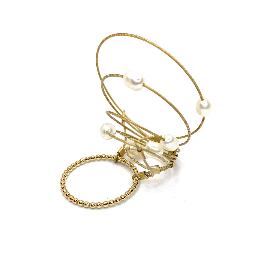 N3790 (2013) The Cranial Pneumatic Sinuses of the Tyrannosaurid Alioramus (Dinosauria: Theropoda)