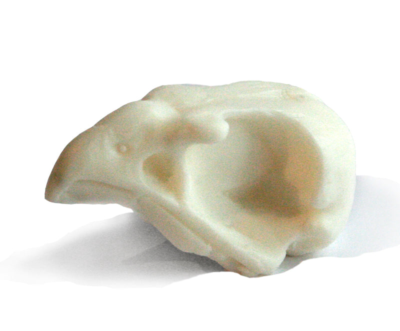 Sandalwood Bird Skull Soap