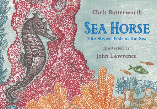 Sea Horse: The Shyest Fish in the Sea