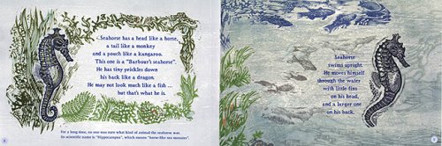 Sea Horse: The Shyest Fish in the Sea