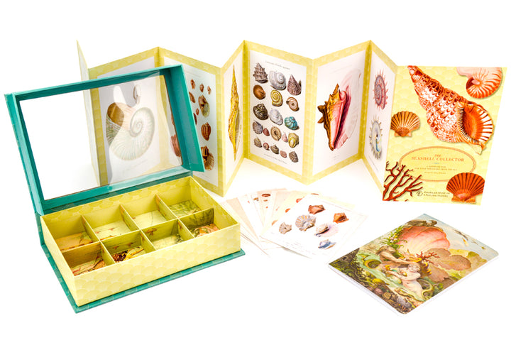 The Seashell Collector