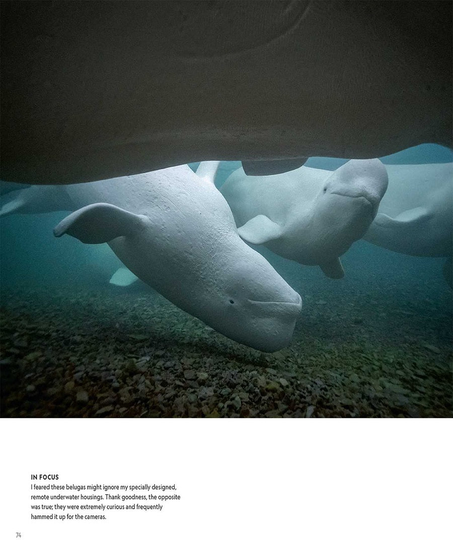 Secrets of the Whales