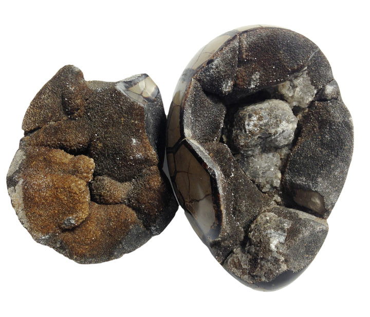 Septarian Egg Geode