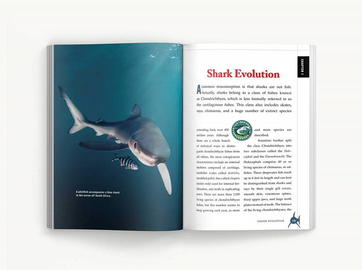 The Shark Handbook