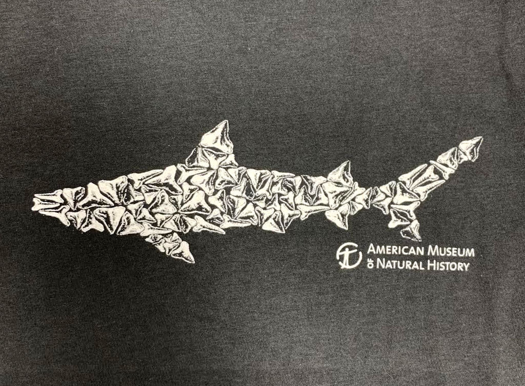 Youth Shark Teeth Shark T-Shirt