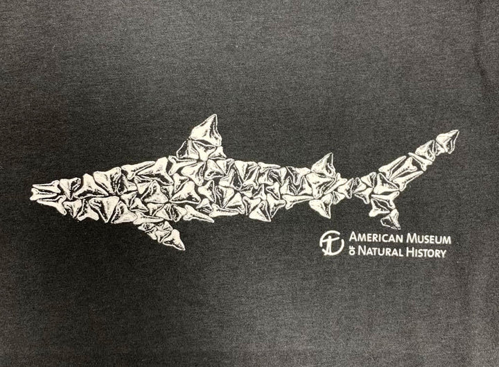 Youth Shark Teeth Shark T-Shirt