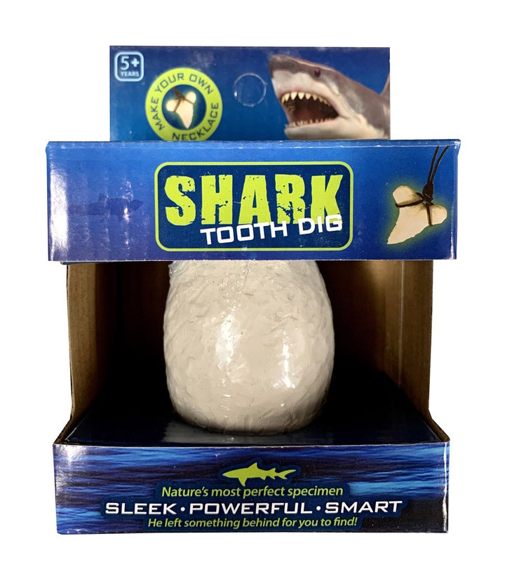 Shark Tooth Dig Egg