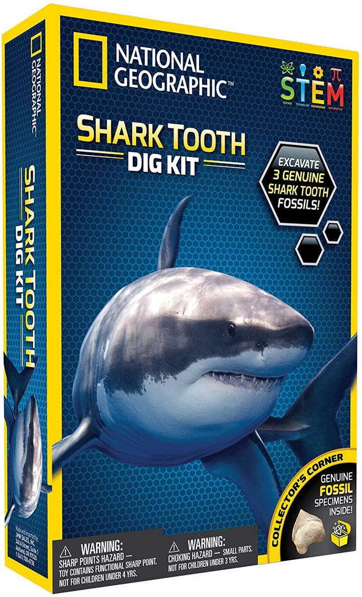 Shark Tooth Dig Kit