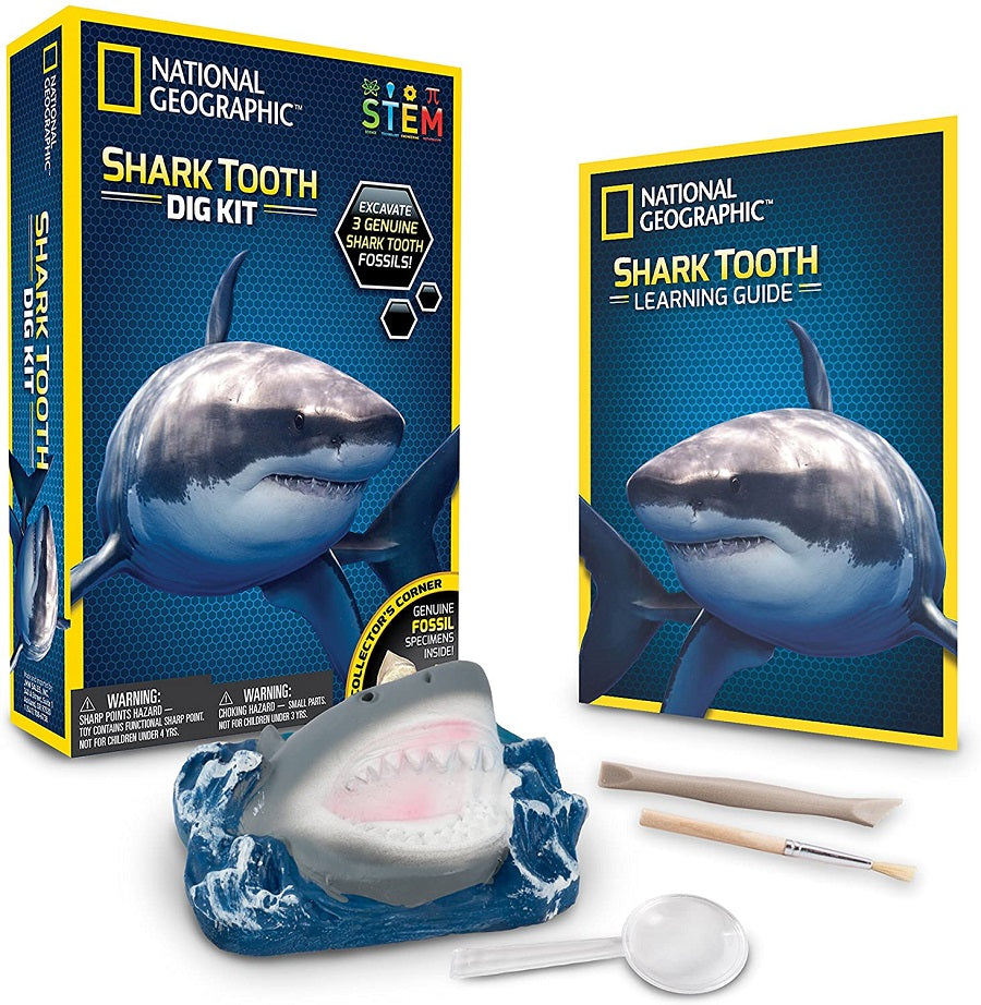 Shark Tooth Dig Kit