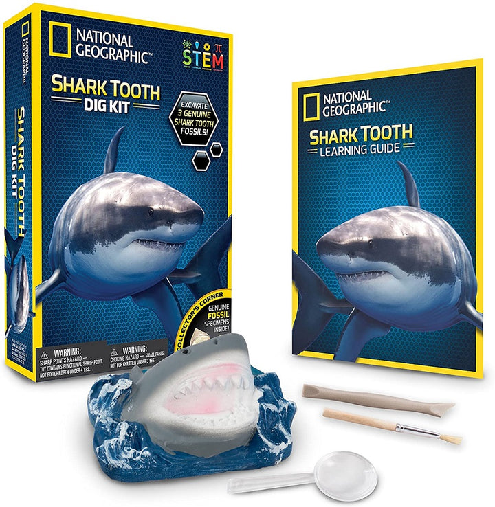 Shark Tooth Dig Kit