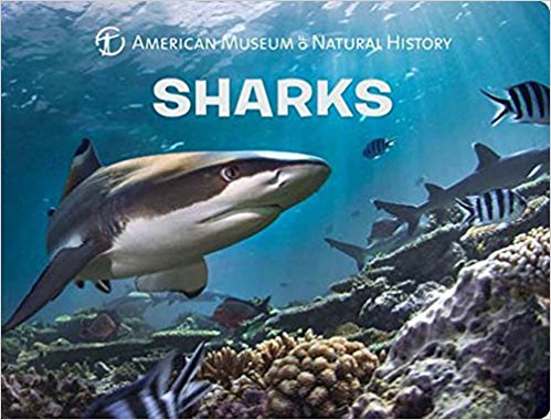 American Museum of Natural History Sharks Board Book