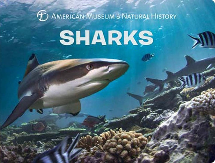 American Museum of Natural History Sharks Board Book