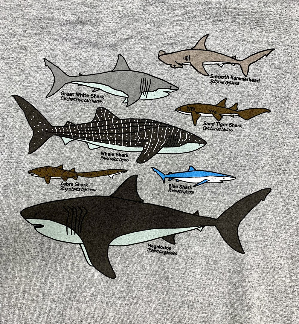 Adult Gray Shark Collage Hoodie