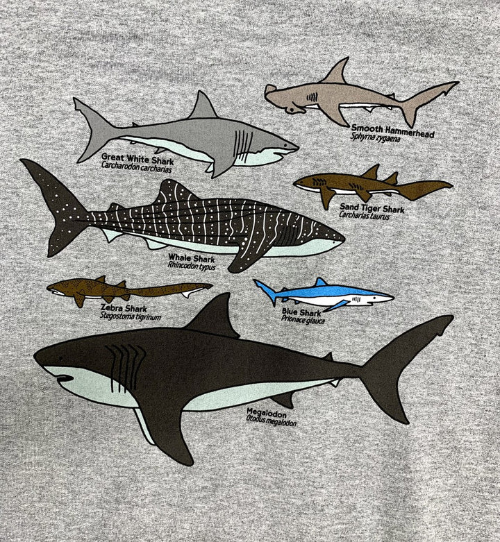 Adult Gray Shark Collage Hoodie