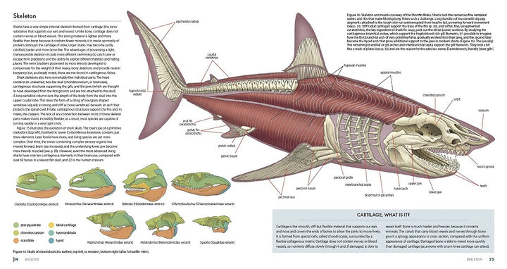 Sharks of the World: A Complete Guide
