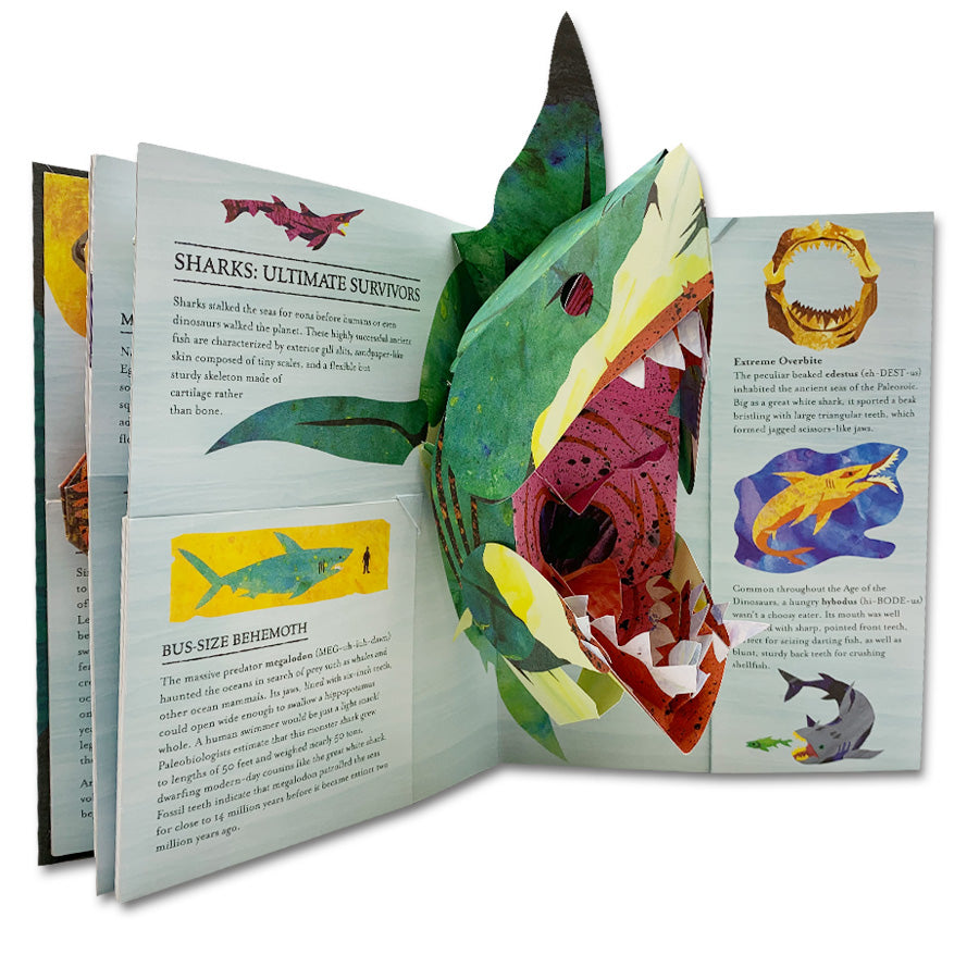 Encyclopedia Prehistorica: Sharks and Other Sea Monsters Pop-Up Book