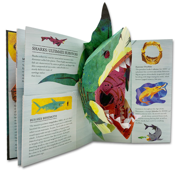 Encyclopedia Prehistorica: Sharks and Other Sea Monsters Pop-Up Book