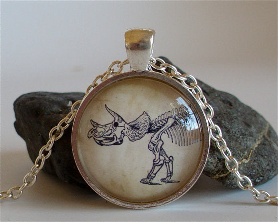 Triceratops Fossil Necklace