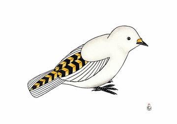 Inuit Art Cape Dorset Holiday Card Assortment