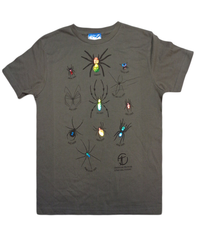 Boy's American Museum of Natural History Foil Spiders Tee