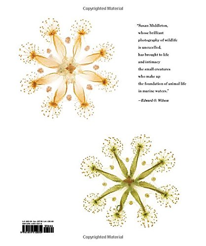 Spineless: Portraits of Marine Invertebrates, The Backbone of Life