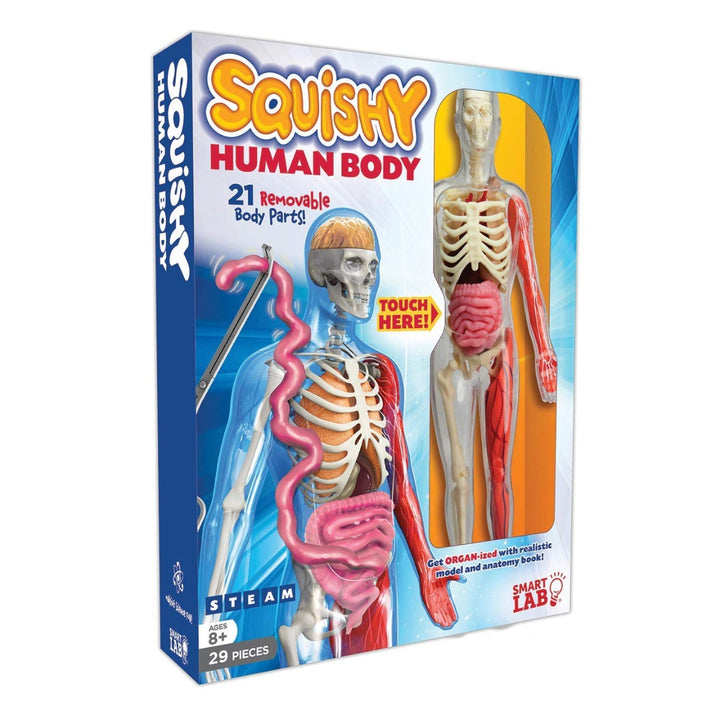 Squishy Human Body Kit