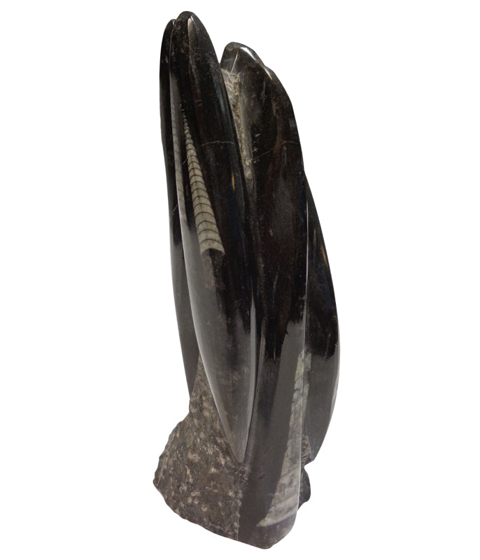 Orthoceras Fossil in Limestone Matrix Statue