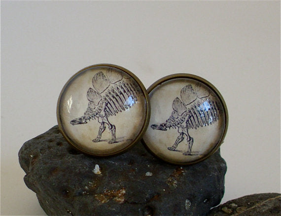 Stegosaurus Cufflinks