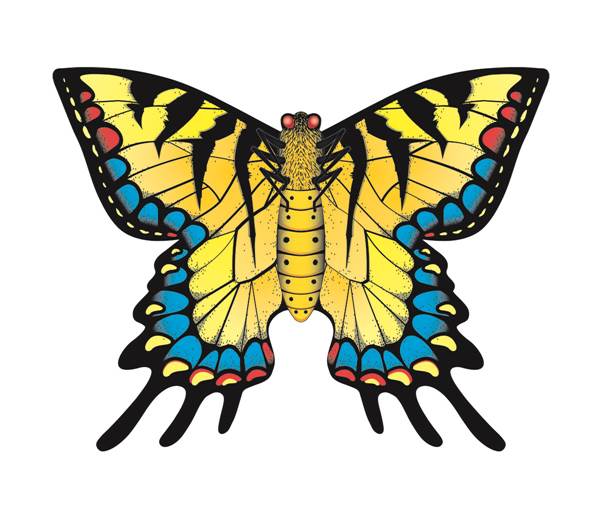 Assorted Butterfly Kites