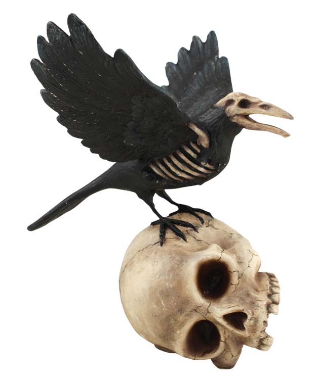 Haunted Raven On Skull
