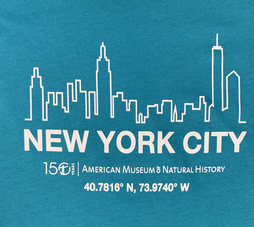 Ladies Teal Blue V-Neck NYC T-Shirt