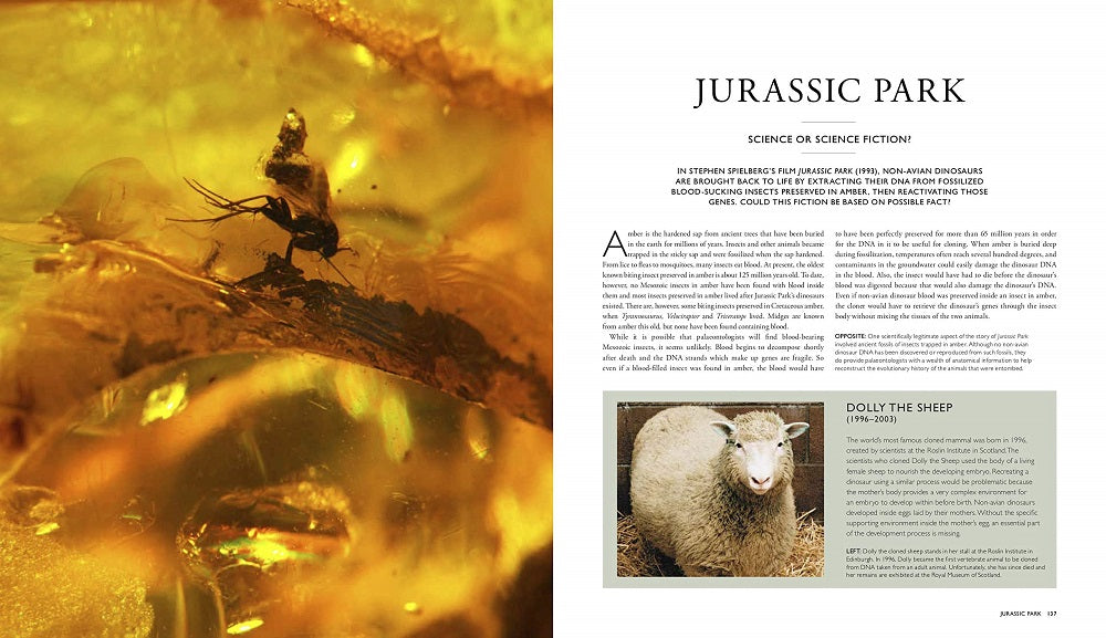 The Dinosaur Hunters