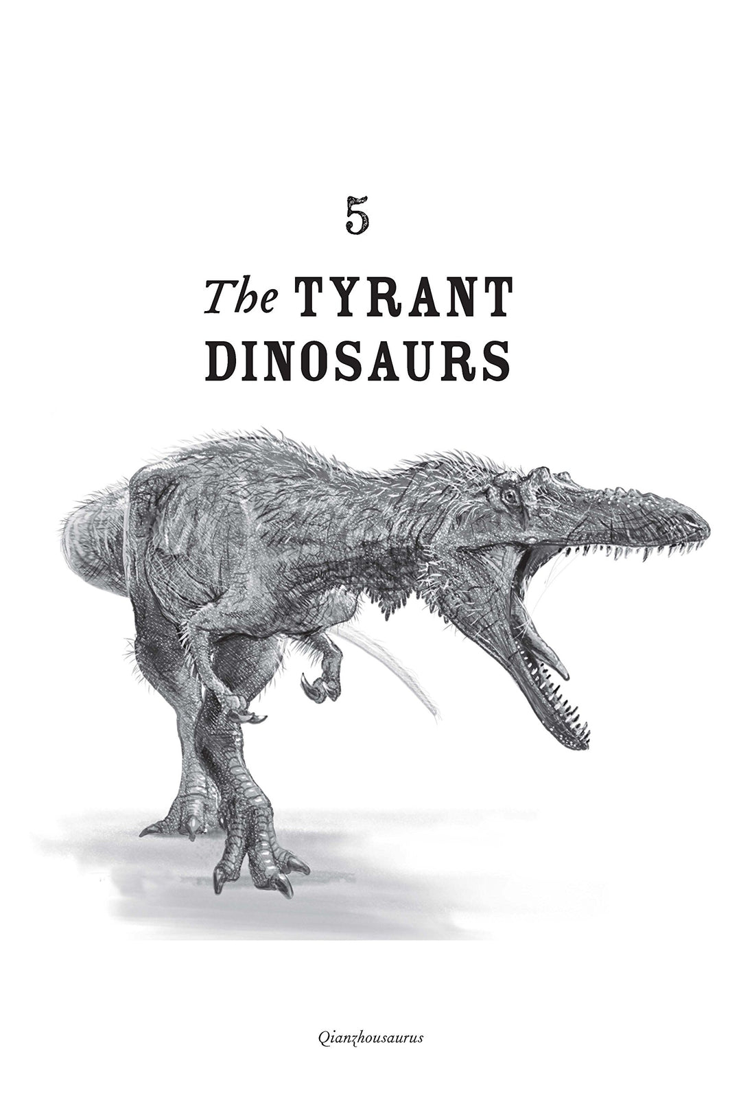 The Rise and Fall of the Dinosaurs