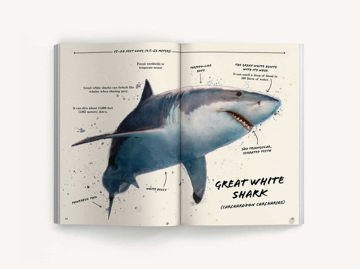 The Ultimate Shark Field Guide