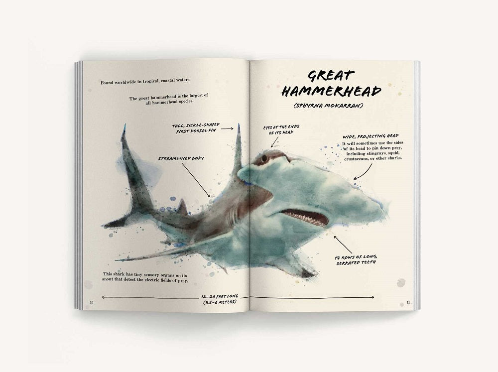 The Ultimate Shark Field Guide