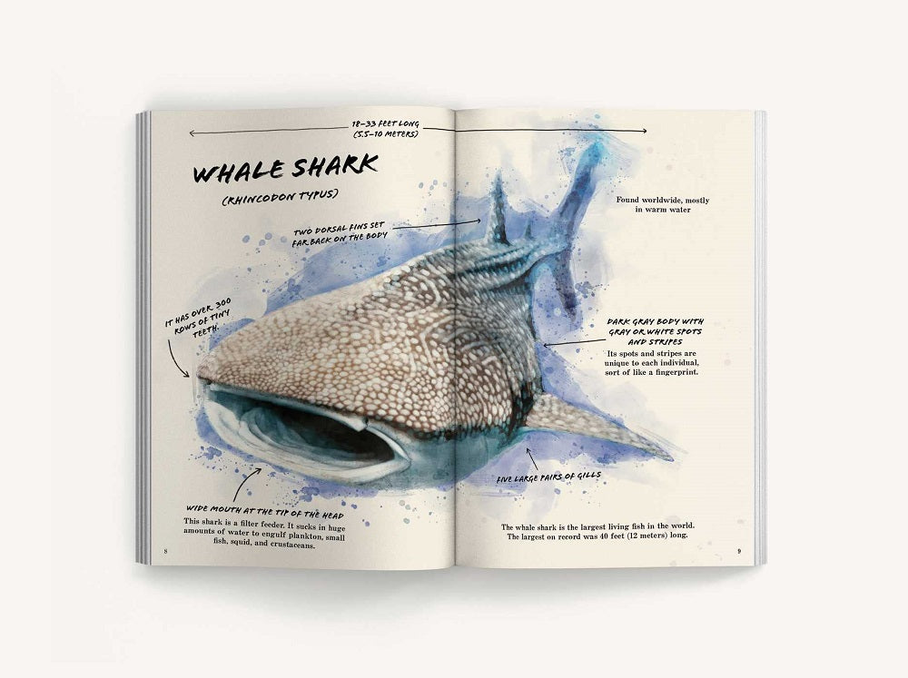 The Ultimate Shark Field Guide