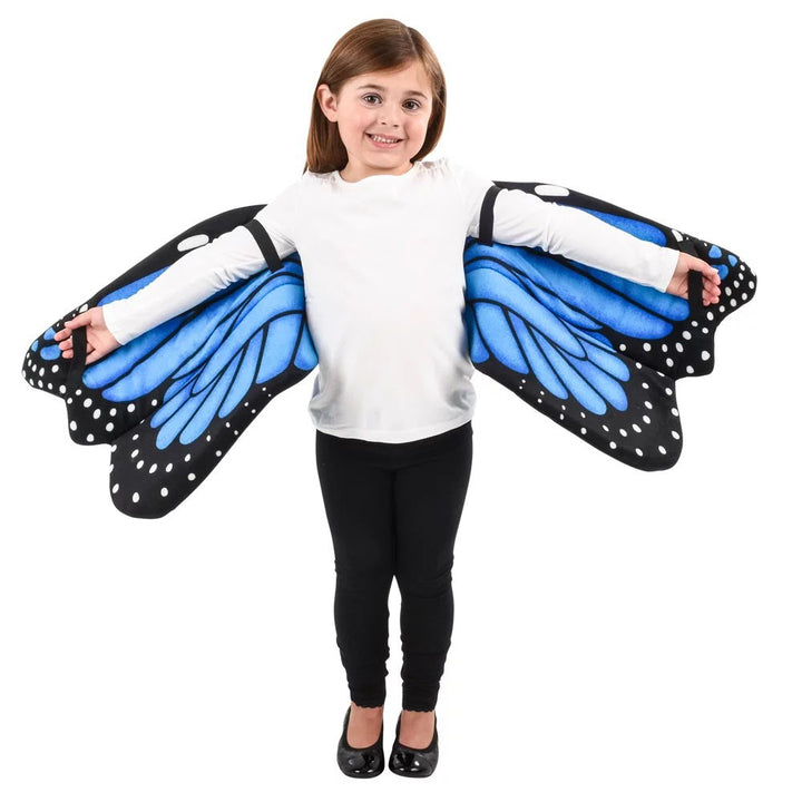 Blue Butterfly Wings