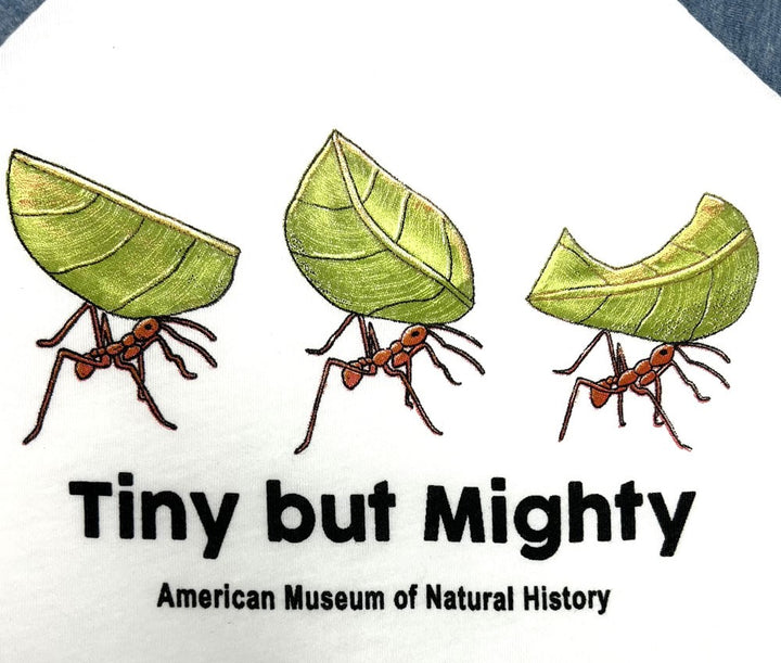 Tiny But Mighty Toddler Raglan T-Shirt Closeup