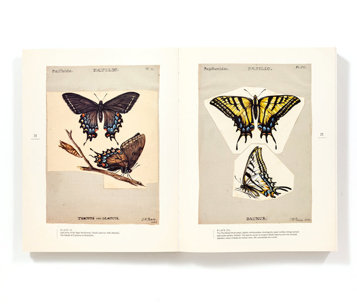 The Butterflies of North America: Titian Peale's Lost Manuscript