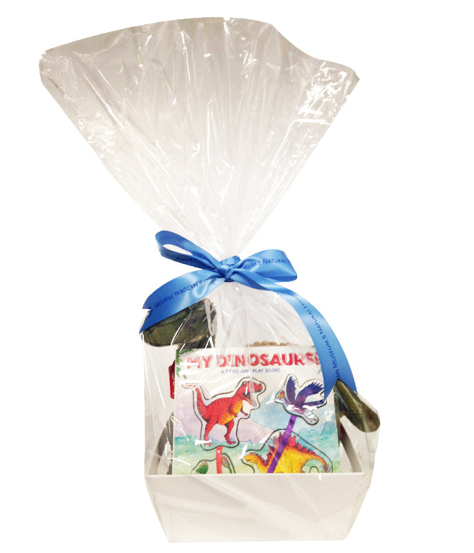 Toddler Dino Gift Basket