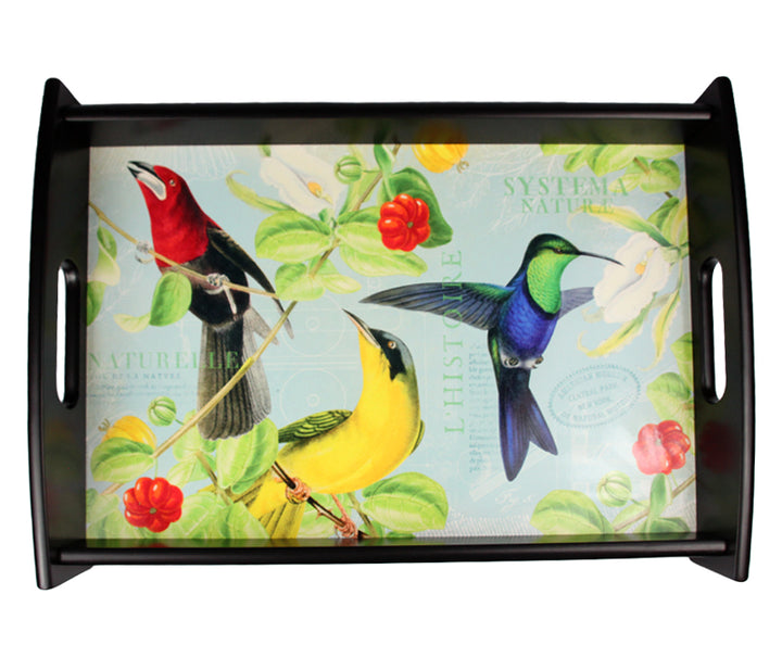 Extraordinary Rare Birds Tray