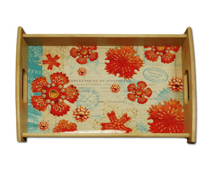 Natural Histories Octopus Tray