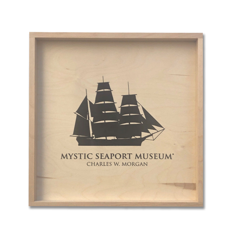 Silk Dinosaur Boxed Tie