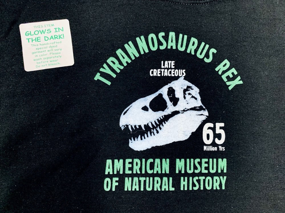 Youth Black Tyrannosaurus Rex Hoodie