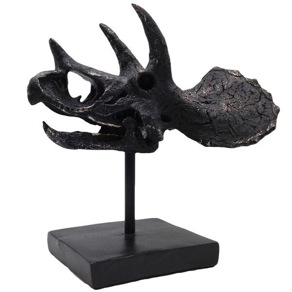 Black Resin Triceratops Skull on Stand