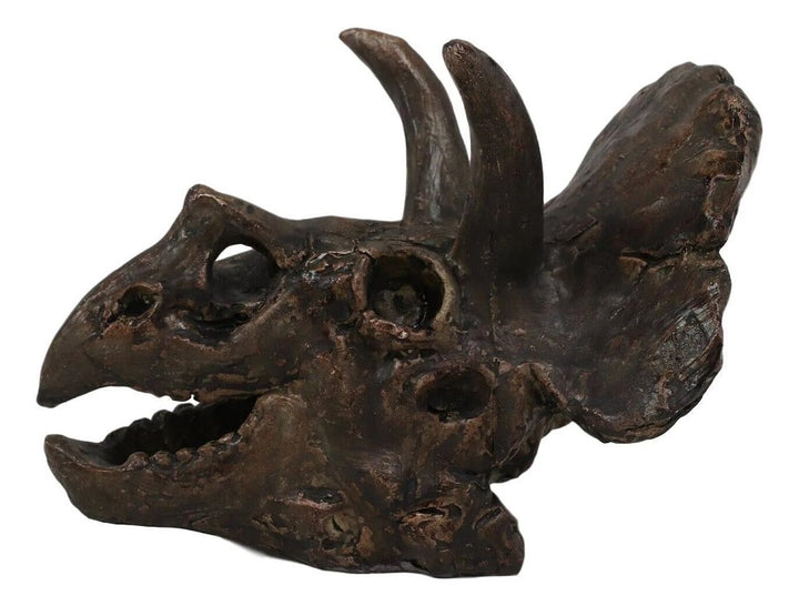 6 Inch Triceratops Skull Model