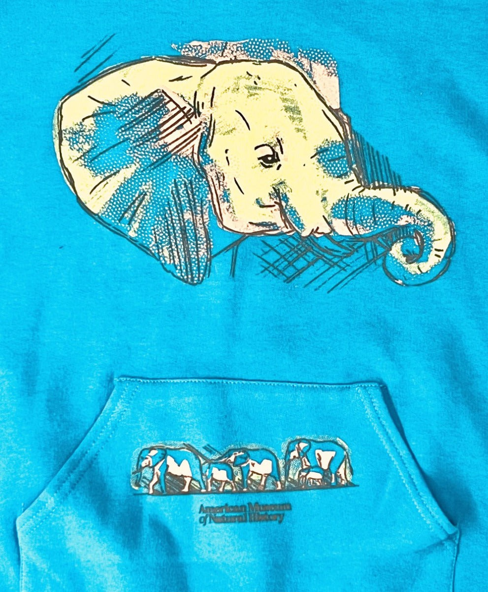 Youth Turquoise Fleece Elephant Hoodie closeup