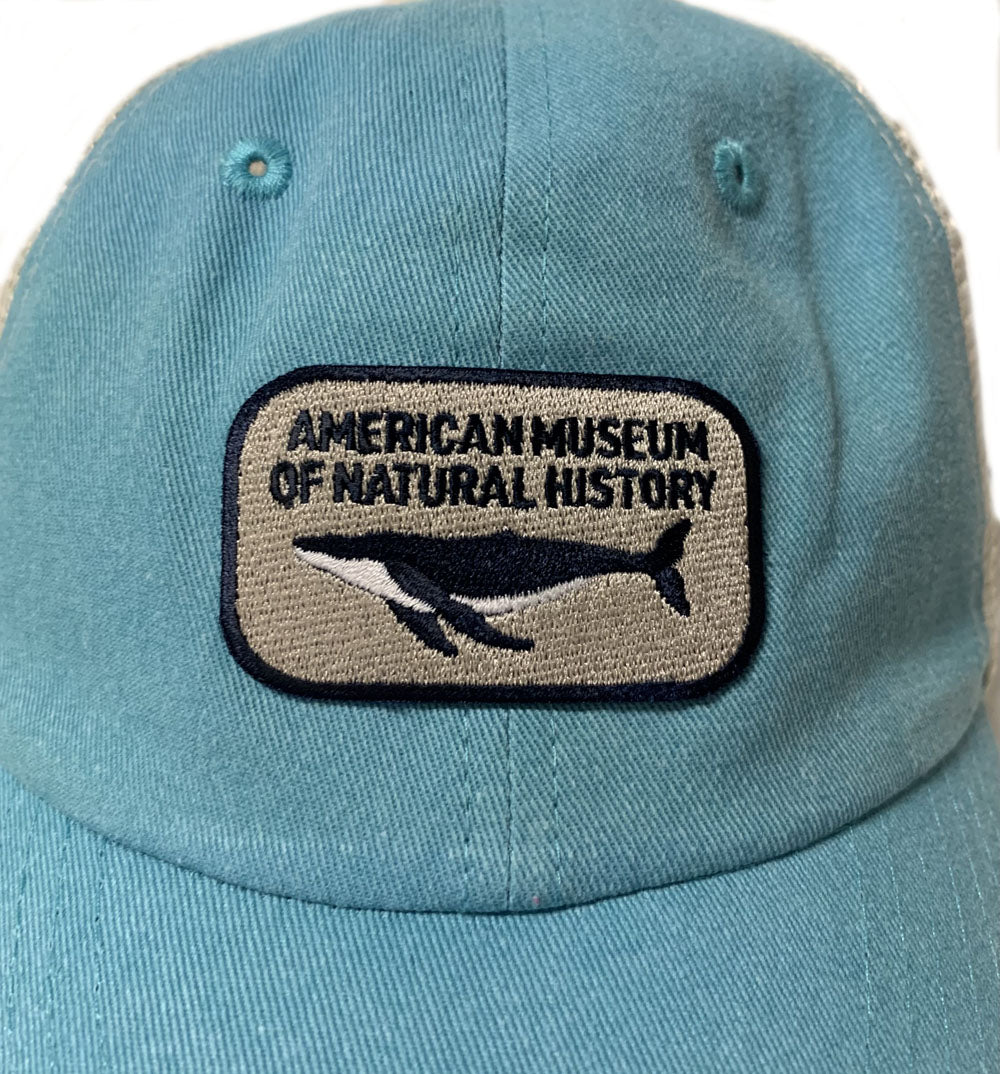 Adult Aqua Blue Whale Trucker Cap