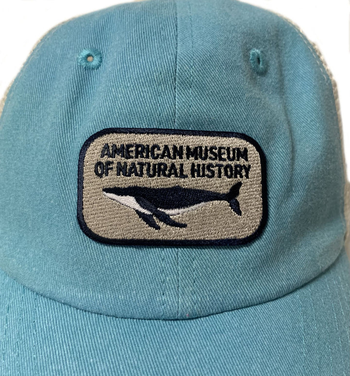 Adult Aqua Blue Whale Trucker Cap