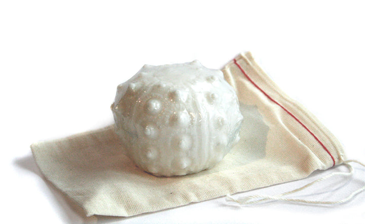 Sea Urchin Soap